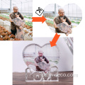 Love Heart Crystal Photo Frame Picture Frame